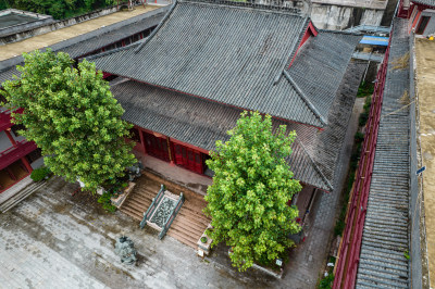 惠州罗浮山延庆寺