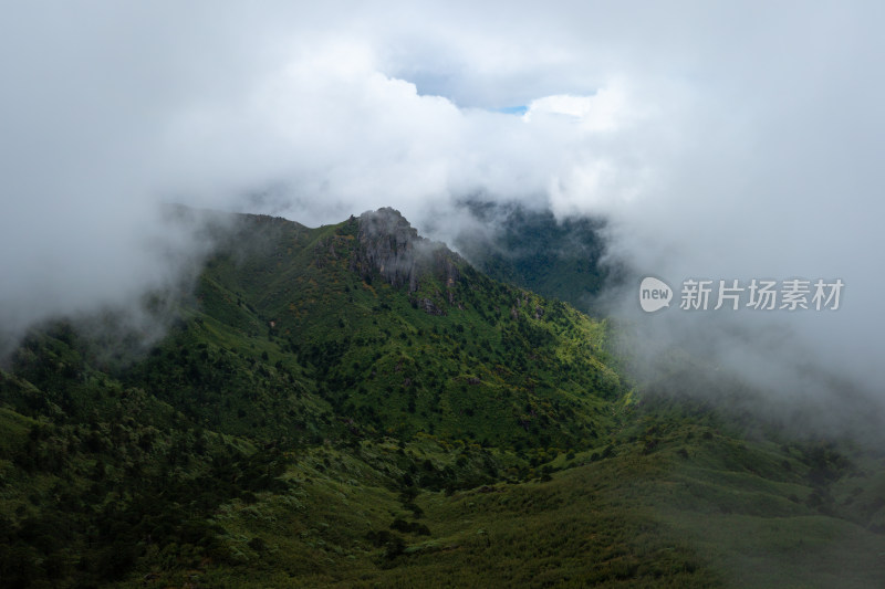 雨雾中的绿色高山