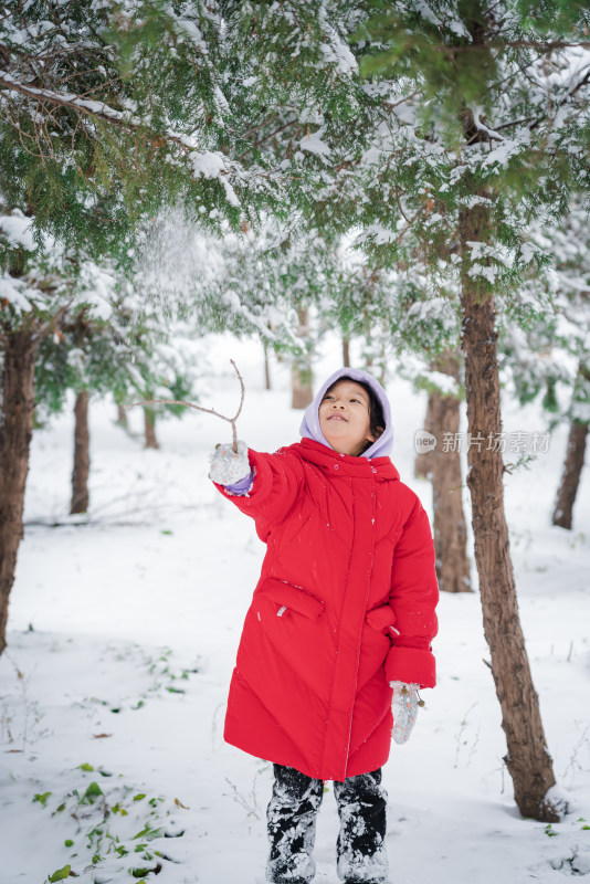 冬天在公园玩雪的中国女孩形象