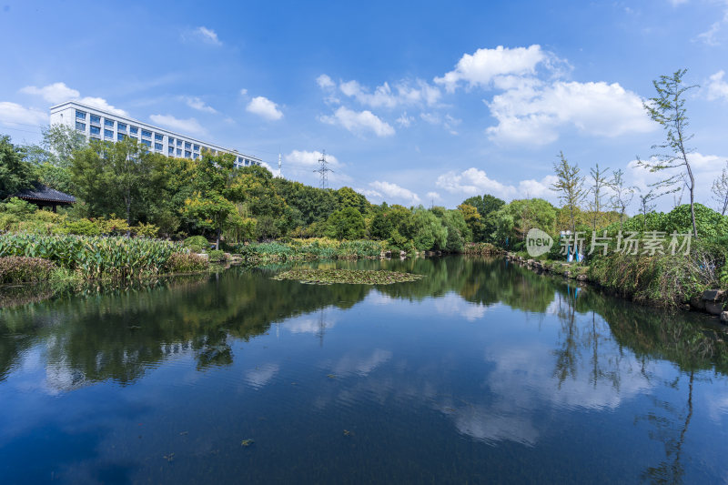 武汉蔡甸汤湖公园生态园林风景