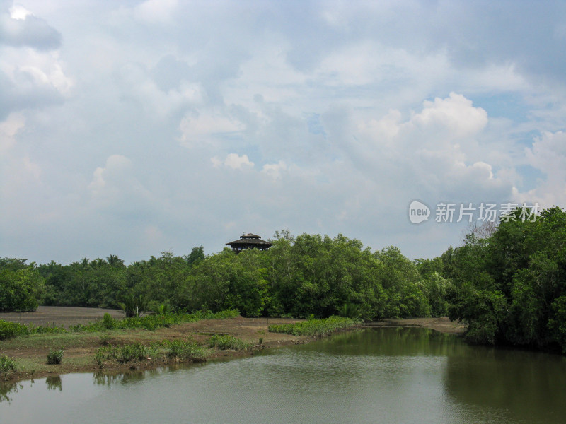 新加坡双溪布洛湿地保护区自然风光