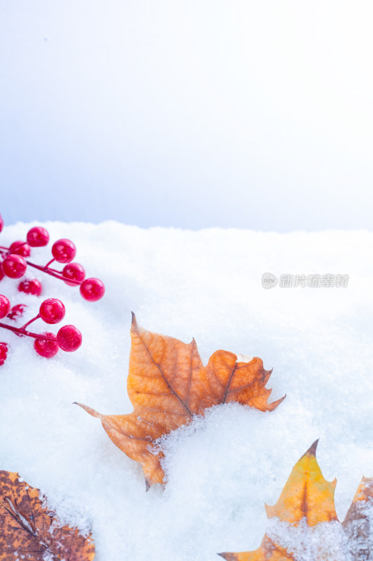 雪地上的秋叶与红果