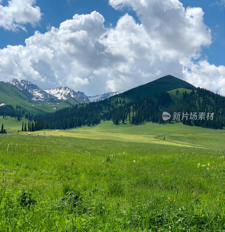 中国新疆伊犁那拉提草原夏季旅游风光