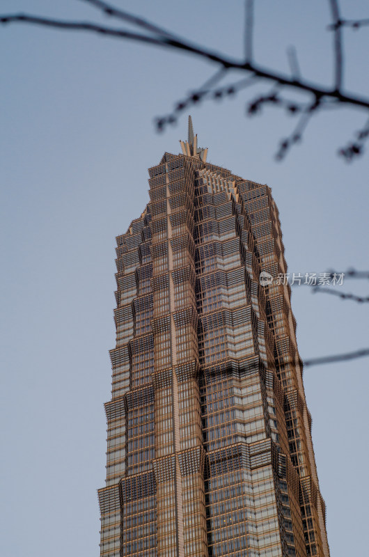 仰拍上海地标陆家嘴金茂大厦