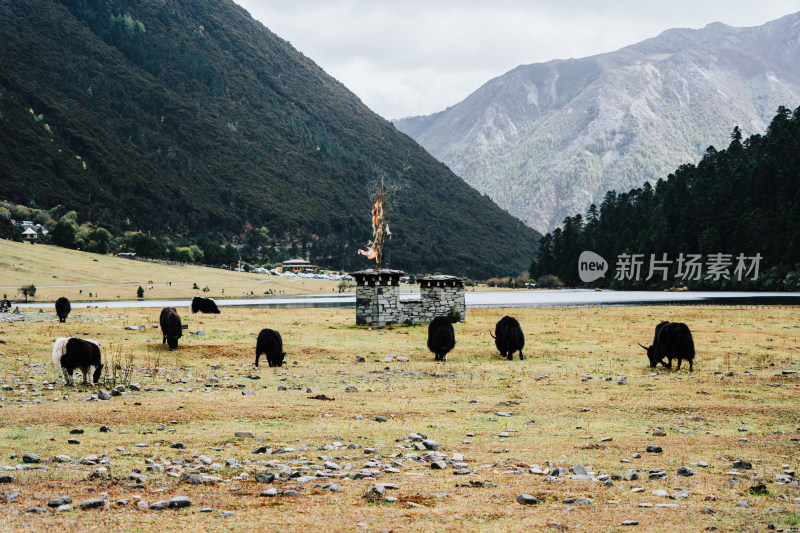 迪庆藏族自治州无底湖牧场