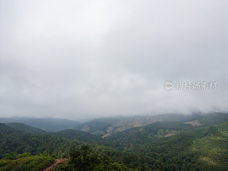 云雾笼罩下的葱郁山林鸟瞰全景