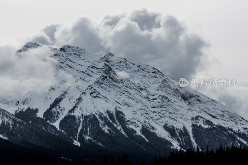 落基山的雪山