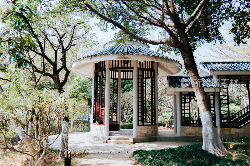 广州生物岛南山公园