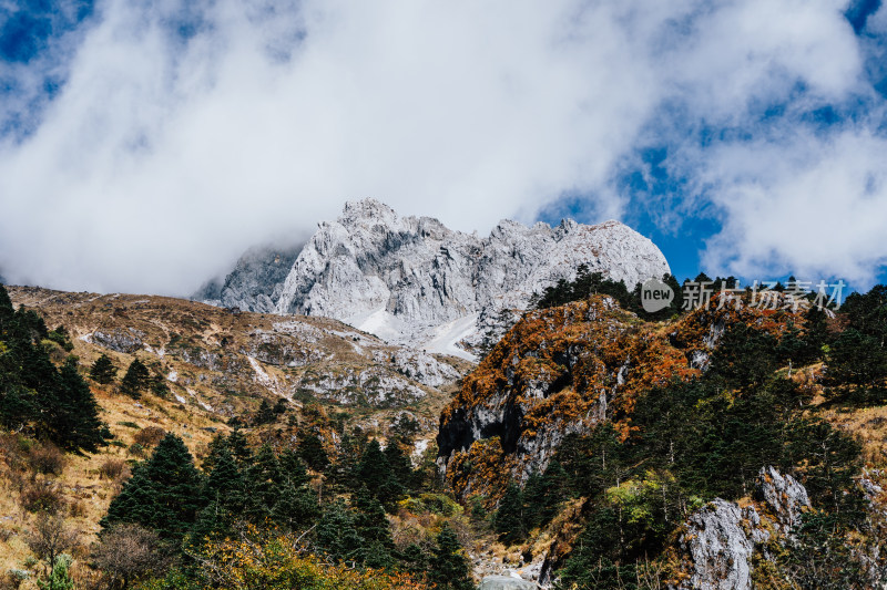 丽江玉龙雪山蚂蝗坝