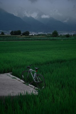 田野中停放着自行车的乡村自然景色