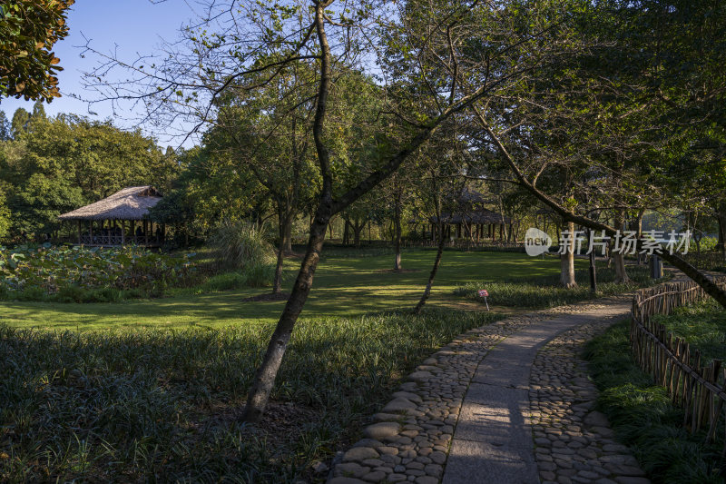 杭州西湖茅家埠江南水乡风景