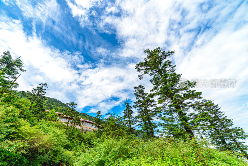 四川峨眉山自然风光