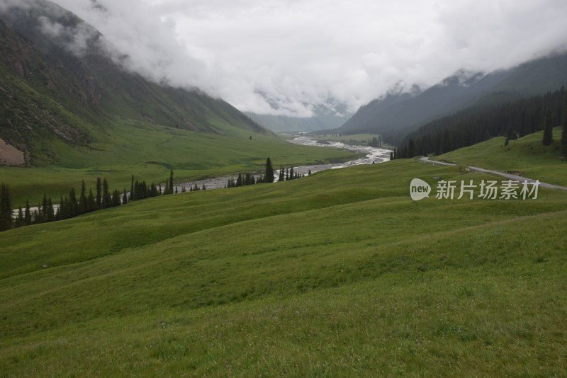 草原  风光  绿山  秀水  放牧  幽静