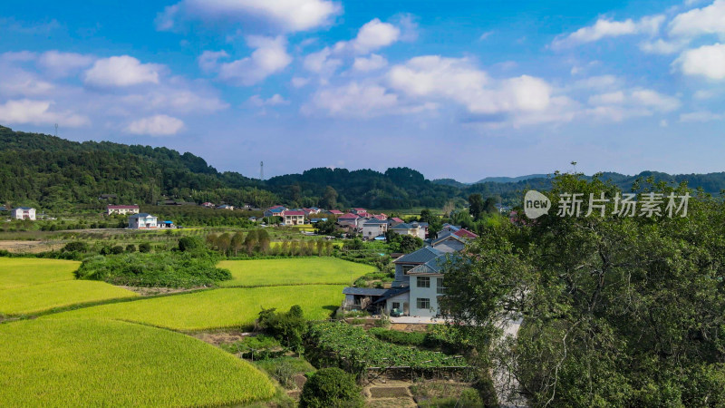 乡村田园