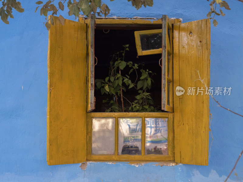新疆街道上彩色门窗