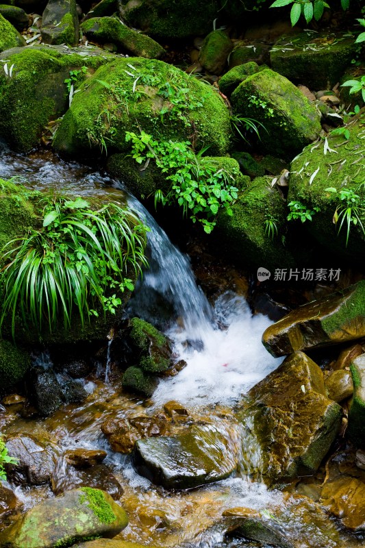 阿里山