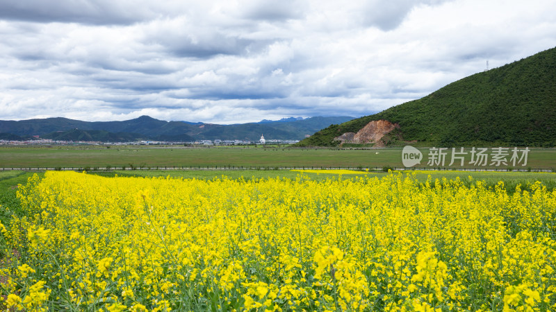 香格里拉纳帕海景区