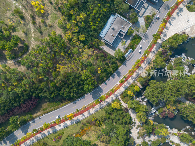 空中俯瞰航拍公园道路森林湖泊