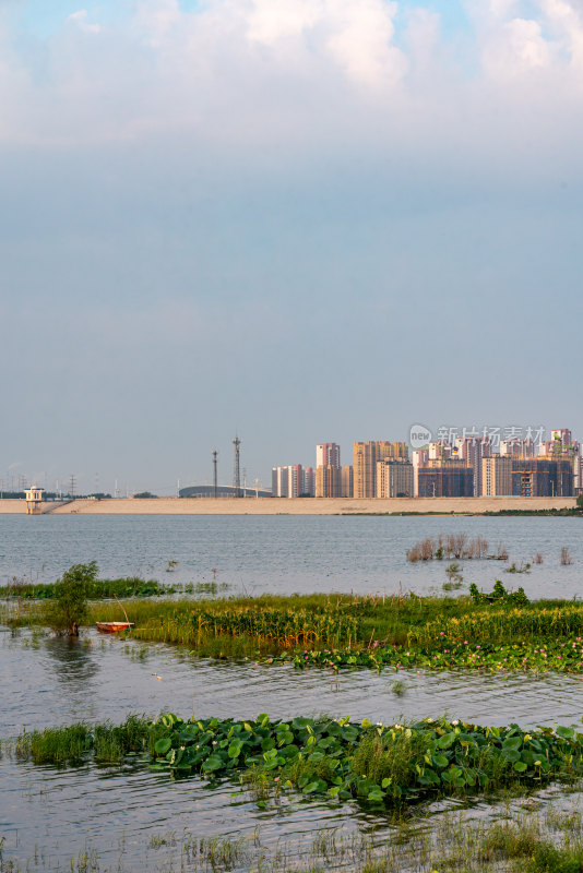 夏天的邹城孟子湖湿地湖泊自然景观