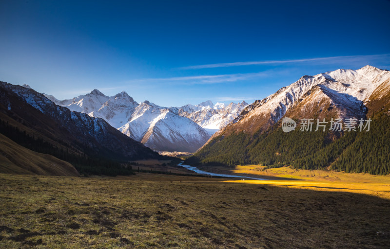 新疆夏塔草原阳光自然风景