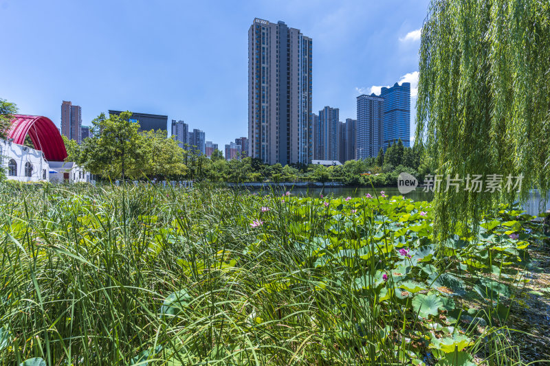 武汉武昌区四美塘公园风景