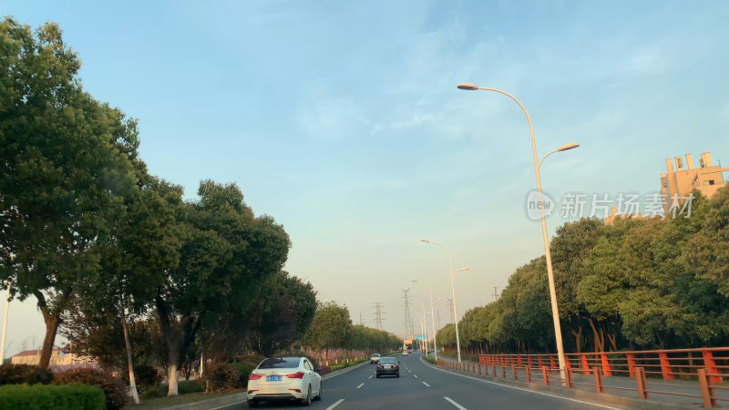 无锡太湖鼋头渚林荫道路自然风景