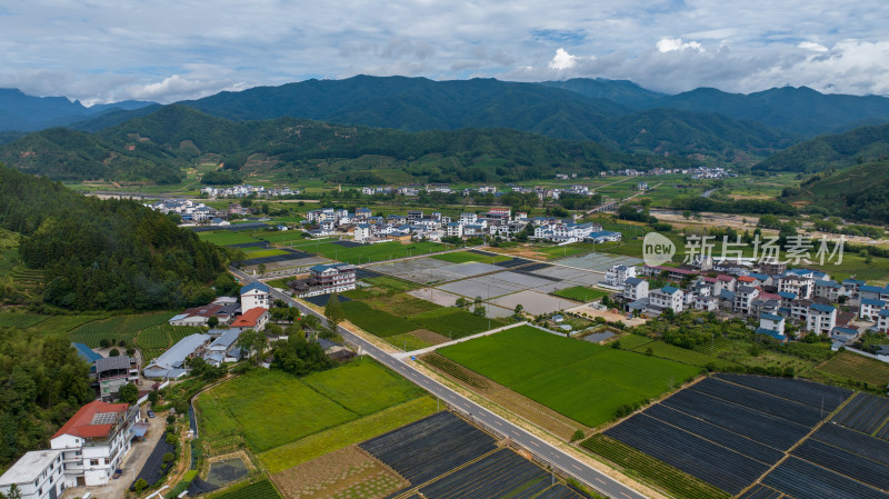 航拍武夷山绿色农田 茶园 村庄