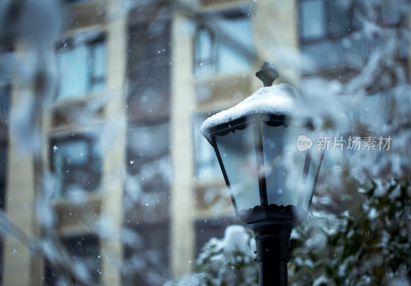 冬季雪景高清摄影图