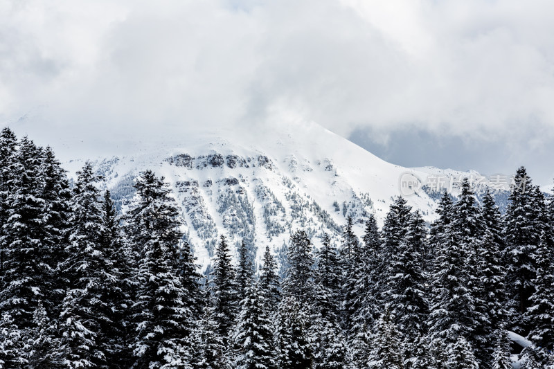 云雾笼罩的雪山