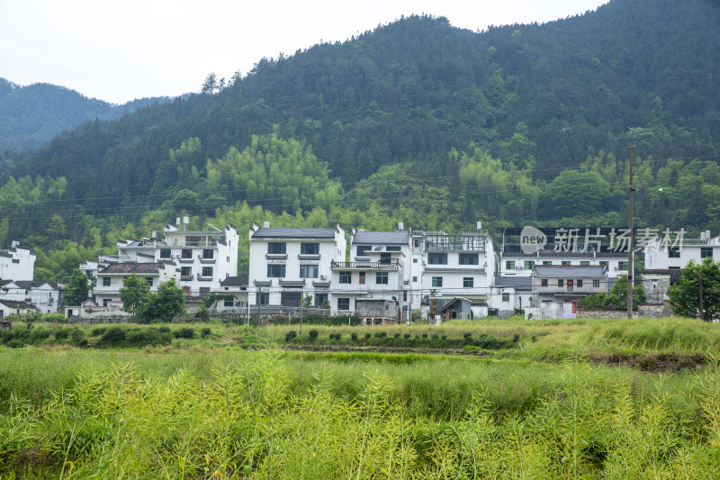 江西水乡婺源乡村美景