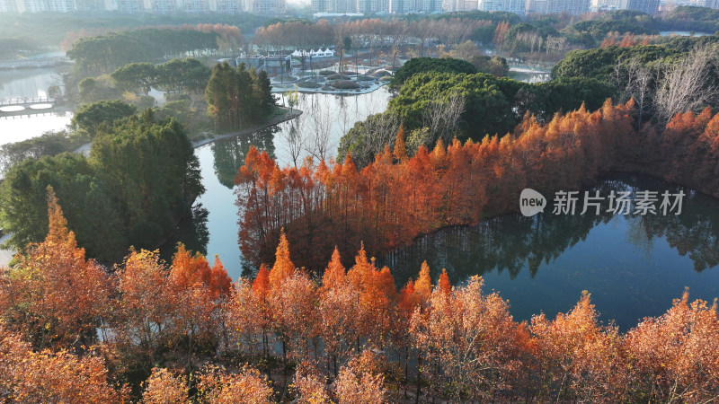 湖边红叶树木环绕的秋景