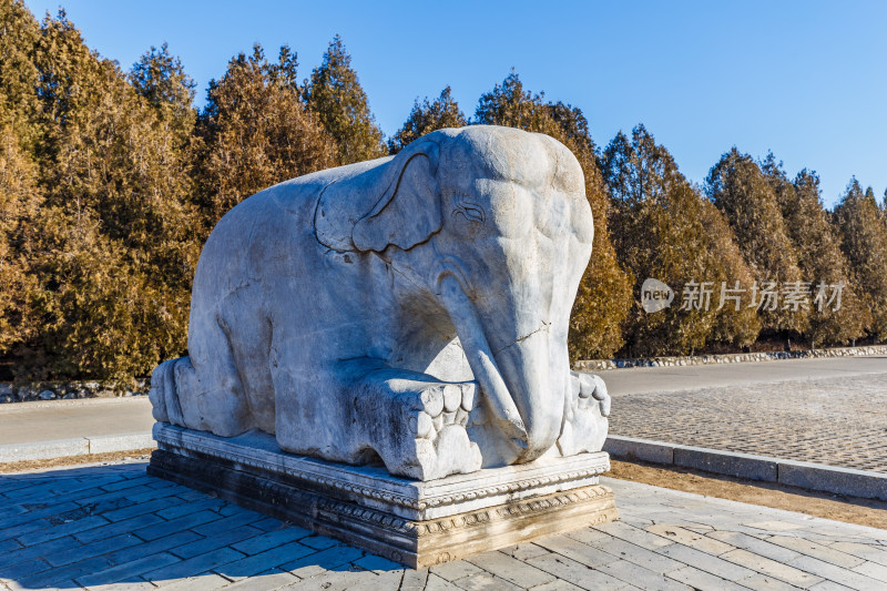 河北唐山市遵化清东陵石像生卧姿大象