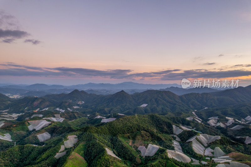 江西赣州赣南寻乌县脐橙种植基地航拍