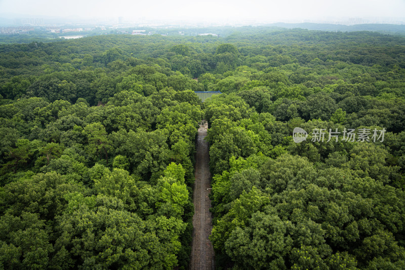 俯瞰灵谷寺景区森林中的石板路步道