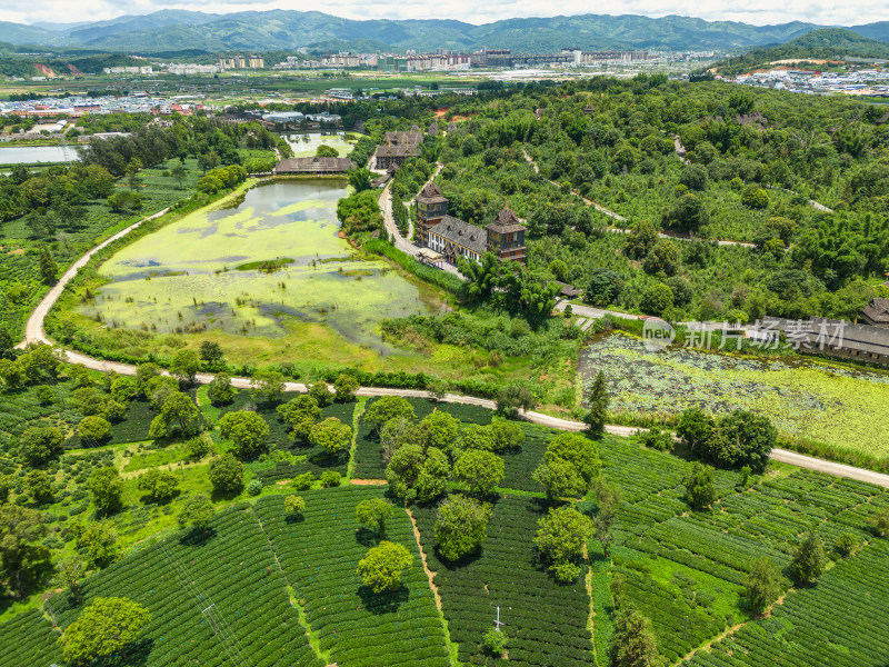 航拍西双版纳勐海茶马古道