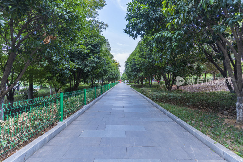 武汉江夏区谭鑫培公园风景