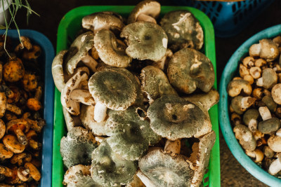 昆明篆新农贸市场野生菌