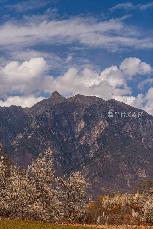 雪山环抱下的宁静山谷