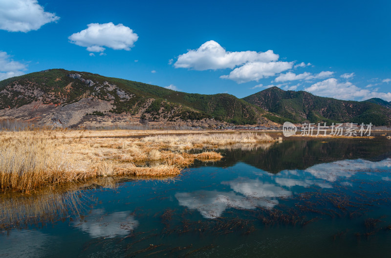 云南泸沽湖草海湖泊芦苇秋景风光