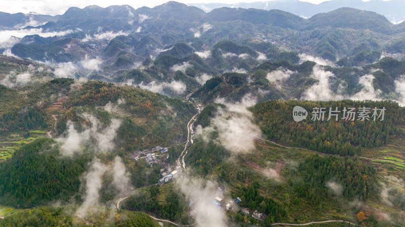 重庆酉阳：白果树边的美景