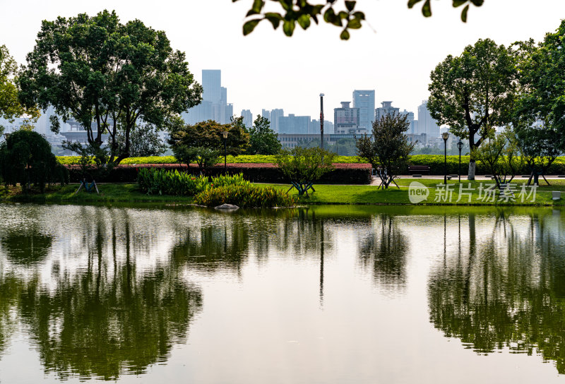 城市公园湖景与远处高楼