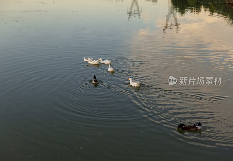 城市风景建设傍晚风景