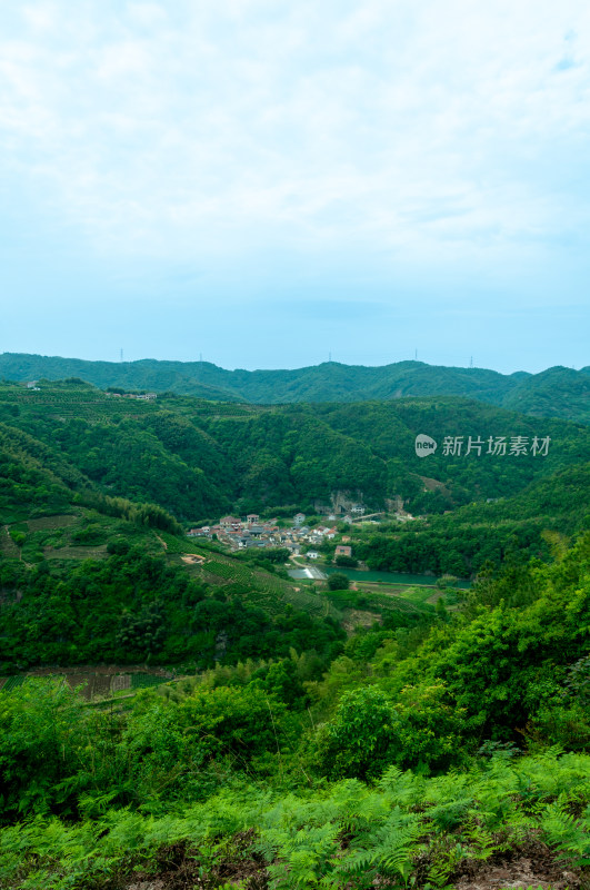 山中的自然风景