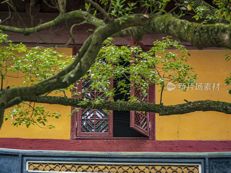 浙江普陀山法雨寺禅院