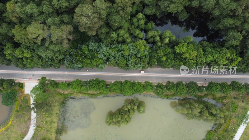 广东东莞：黄江镇黄牛埔森林公园南门景区