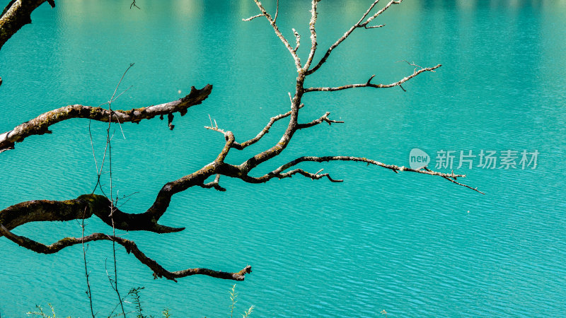 四川九寨沟景区的水景