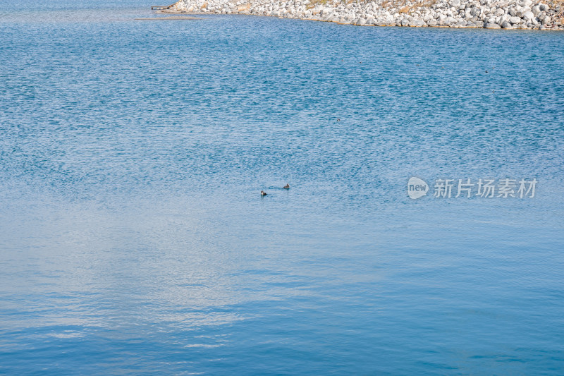 新疆名胜景区赛里木湖蓝色湖水