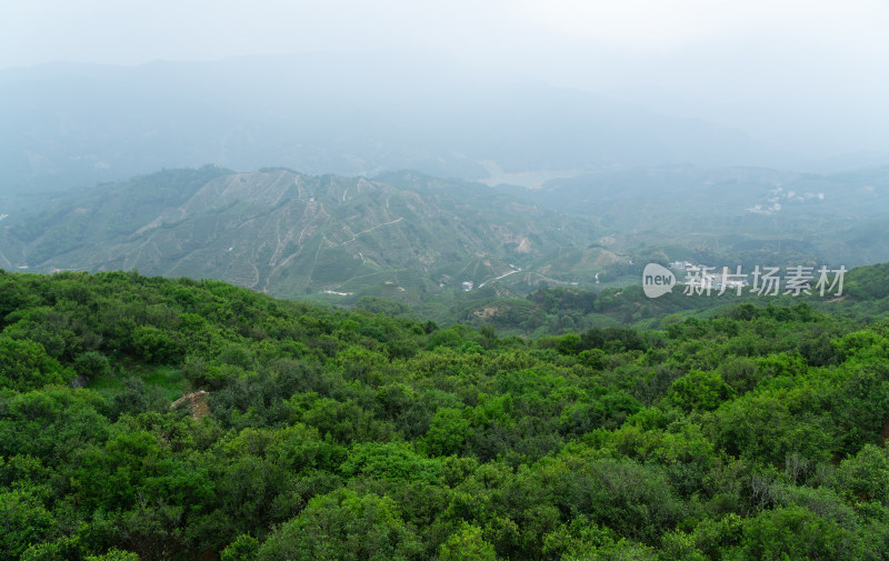 潮州乌岽村茶山风景
