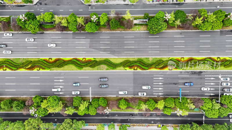 俯拍城市大道绿化植物车辆行驶航拍图