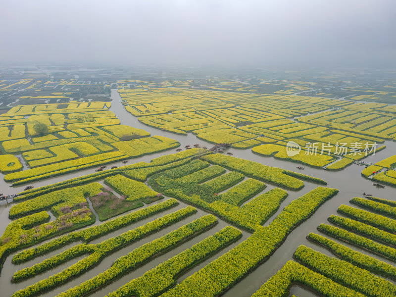 江苏扬州千垛油菜花金黄色运河航拍